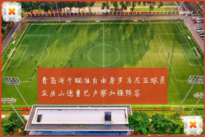 青岛海牛瞄准自由身罗马尼亚球员亚历山德鲁巴卢察加强阵容