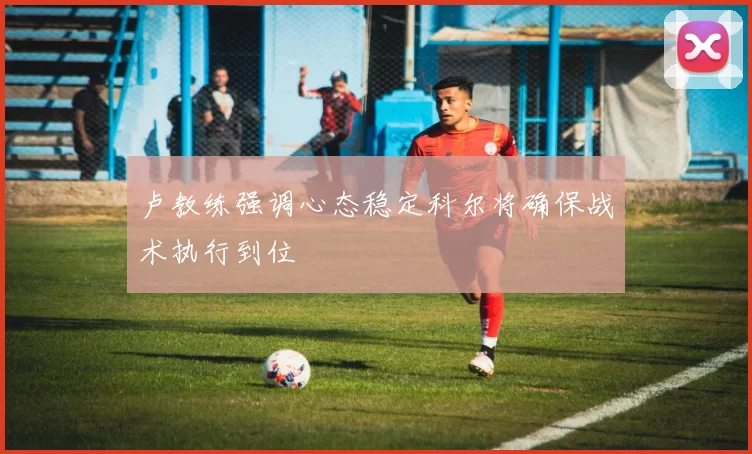 卢教练强调心态稳定科尔将确保战术执行到位