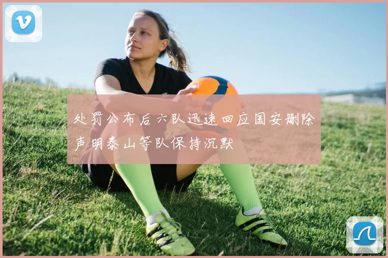 处罚公布后六队迅速回应国安删除声明泰山等队保持沉默