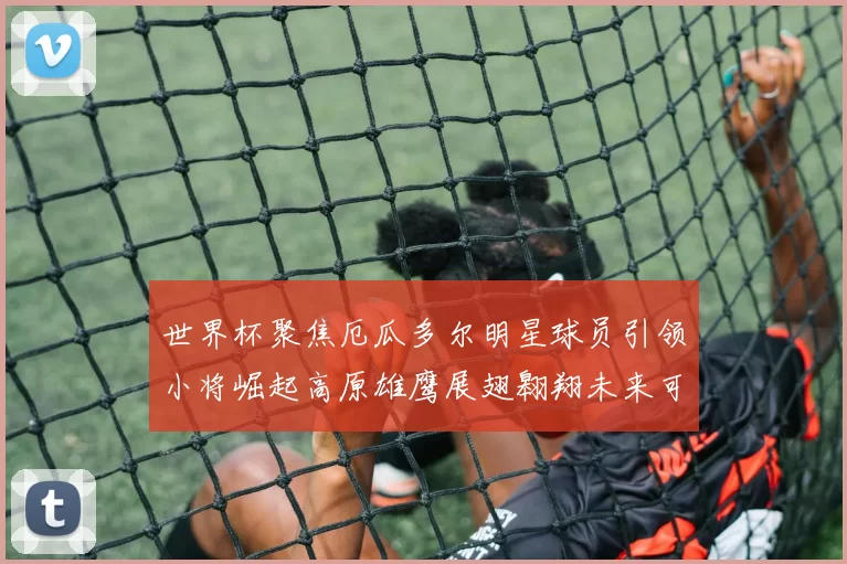 世界杯聚焦厄瓜多尔明星球员引领小将崛起高原雄鹰展翅翱翔未来可期